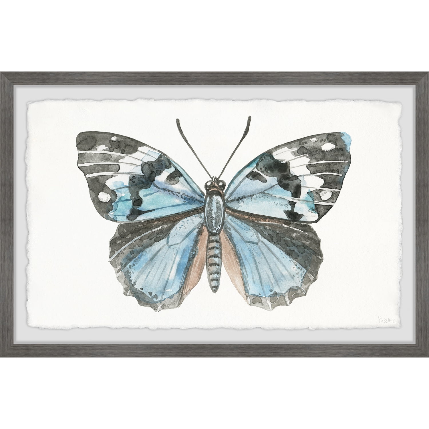 Blue and Black Butterfly Watercolor Print with Gray Frame
