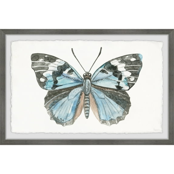 Parvez Taj Wild Butterfly Framed Painting Print
