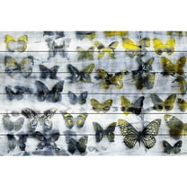 Parvez Taj Yellow Wings White Wood Wall Art