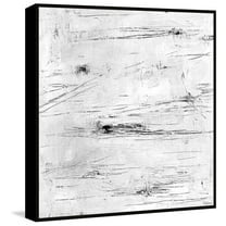 Parvez Taj Young Generation Floater Framed Painting Print on Canvas