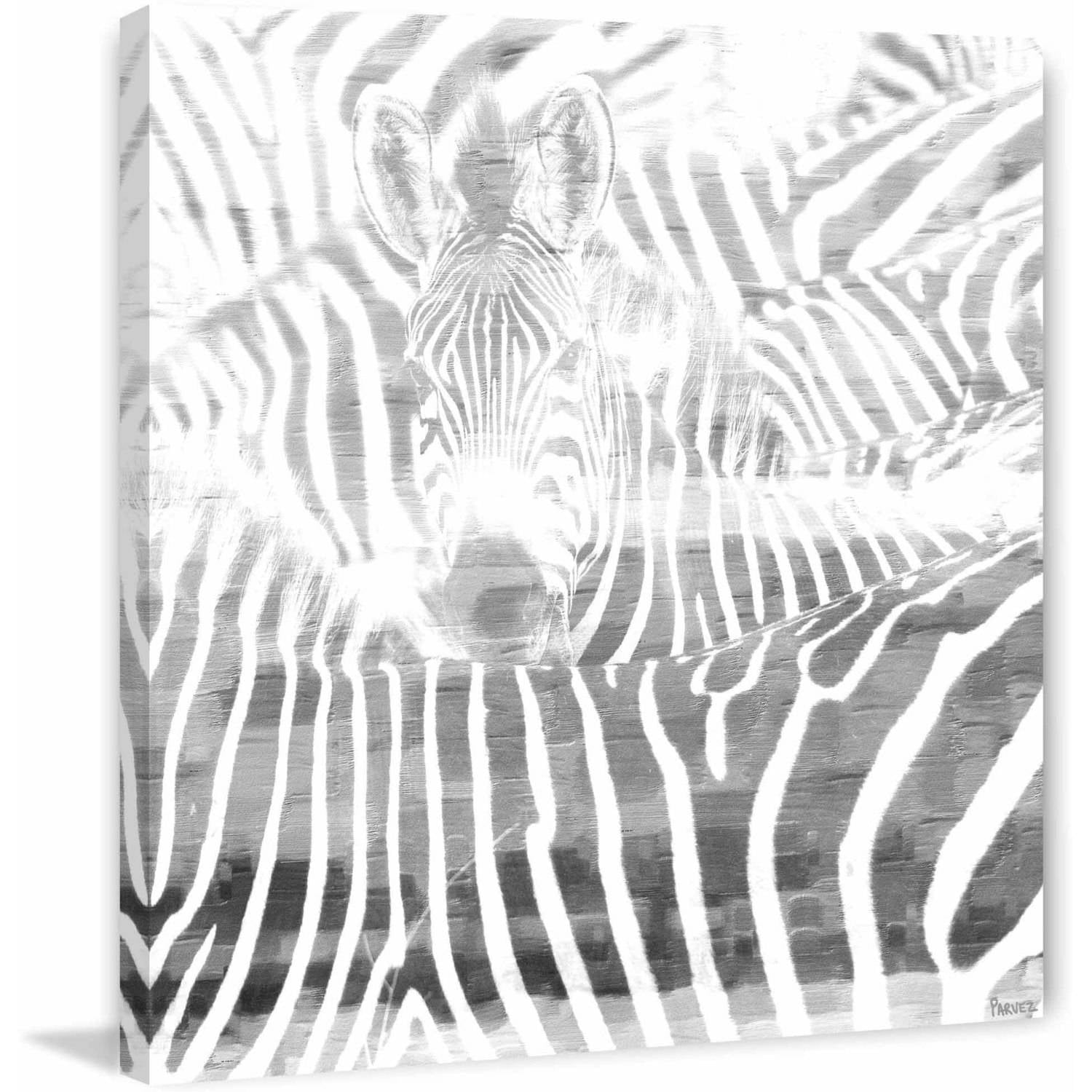 Parvez Taj "Zebra Stare" Print on Canvas