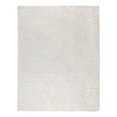 thumbnail image 1 of Pasargad Home Paris Shag Hand-Woven Poly & Cotton Area Rug-10' 0" X 14' 0" Ivory, 1 of 6