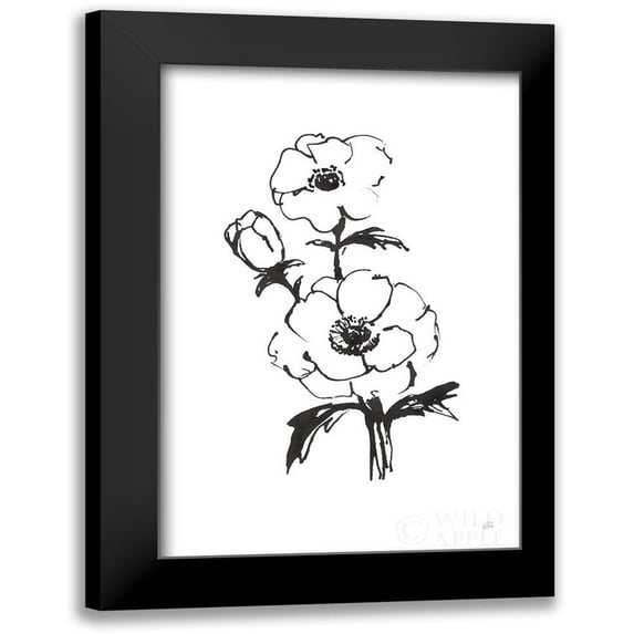 Paschke, Chris 11x14 Black Modern Framed Museum Art Print Titled - Line Anemone II