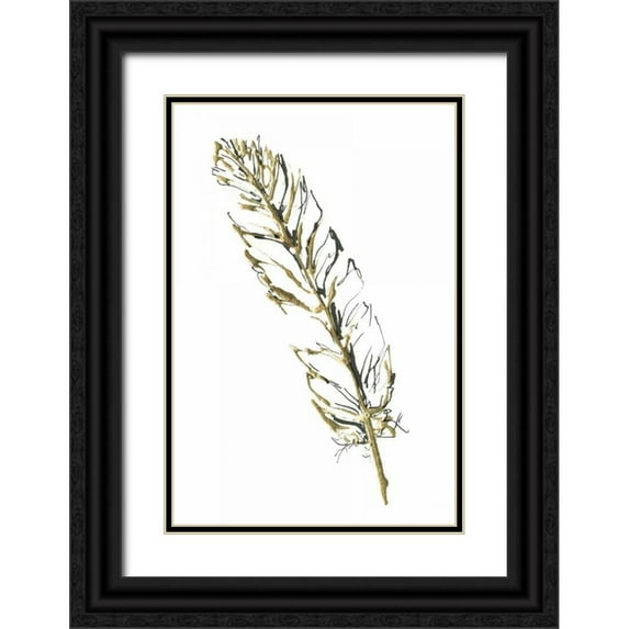Paschke, Chris 11x14 Black Ornate Wood Framed with Double Matting Museum Art Print Titled - Gilded Turkey Feather II
