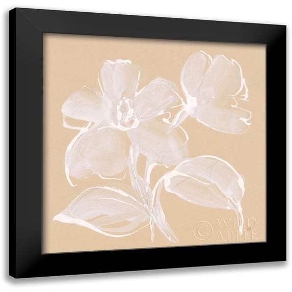Paschke, Chris 12x12 Black Modern Framed Museum Art Print Titled - Poppy I