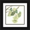 thumbnail image 1 of Paschke, Chris 12x12 Black Ornate Wood Framed with Double Matting Museum Art Print Titled - Gingko Leaves I on White, 1 of 4