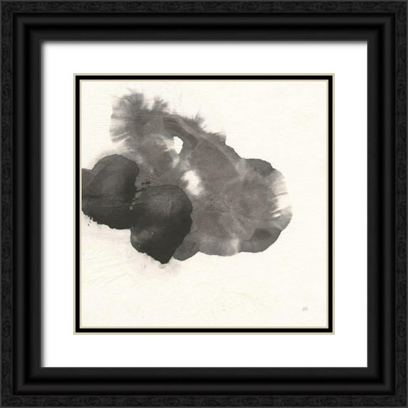 Paschke, Chris 12x12 Black Ornate Wood Framed with Double Matting Museum Art Print Titled - Transitions VI