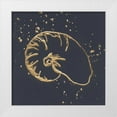 thumbnail image 1 of Paschke, Chris 12x12 White Modern Wood Framed Museum Art Print Titled - Gold Nautilus I, 1 of 4