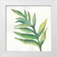 thumbnail image 1 of Paschke, Chris 12x12 White Modern Wood Framed Museum Art Print Titled - Tropical Palm I, 1 of 4