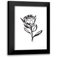 thumbnail image 1 of Paschke, Chris 13x18 Black Modern Framed Museum Art Print Titled - Line Protea II, 1 of 5