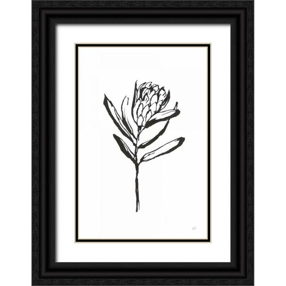 Paschke, Chris 13x18 Black Ornate Wood Framed with Double Matting Museum Art Print Titled - Line Protea I
