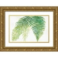thumbnail image 1 of Paschke, Chris 14x11 Gold Ornate Wood Framed with Double Matting Museum Art Print Titled - Ferns III, 1 of 4