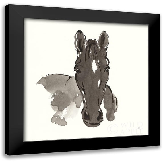 Paschke, Chris 15x15 Black Modern Framed Museum Art Print Titled - Horse Portrait IV