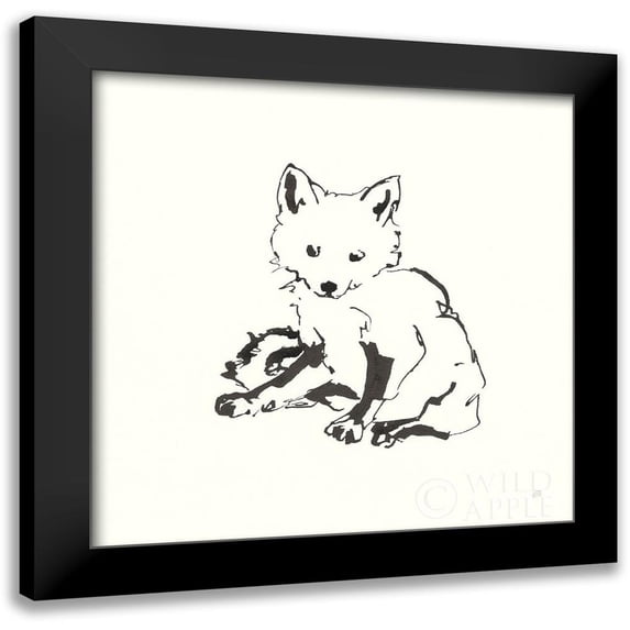 Paschke, Chris 15x15 Black Modern Framed Museum Art Print Titled - Line Fox