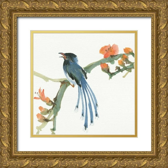 Paschke, Chris 15x15 Gold Ornate Wood Framed with Double Matting Museum Art Print Titled - Formosan Blue Magpie