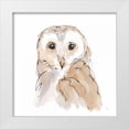 thumbnail image 1 of Paschke, Chris 15x15 White Modern Wood Framed Museum Art Print Titled - Barn Owl II, 1 of 4