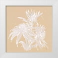 thumbnail image 1 of Paschke, Chris 15x15 White Modern Wood Framed Museum Art Print Titled - Echinacea IV, 1 of 4