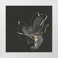 thumbnail image 1 of Paschke, Chris 15x15 White Modern Wood Framed Museum Art Print Titled - Modern Flower II, 1 of 4