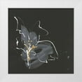 thumbnail image 1 of Paschke, Chris 15x15 White Modern Wood Framed Museum Art Print Titled - Modern Flower I, 1 of 4