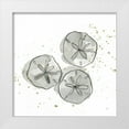 thumbnail image 1 of Paschke, Chris 15x15 White Modern Wood Framed Museum Art Print Titled - Sand Dollar III, 1 of 4