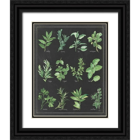 Paschke, Chris 15x18 Black Ornate Wood Framed with Double Matting Museum Art Print Titled - Herb Chart on Black White Border