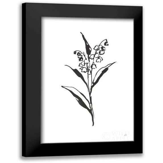 Paschke, Chris 17x24 Black Modern Framed Museum Art Print Titled - Line Lily of the Valley II