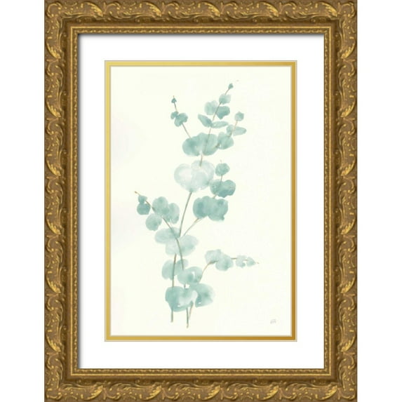 Paschke, Chris 17x24 Gold Ornate Wood Framed with Double Matting Museum Art Print Titled - Eucalyptus Branch II