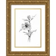 thumbnail image 1 of Paschke, Chris 17x24 Gold Ornate Wood Framed with Double Matting Museum Art Print Titled - Wash Anemone I, 1 of 4