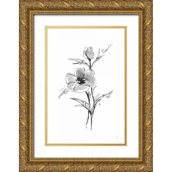Paschke, Chris 17x24 Gold Ornate Wood Framed with Double Matting Museum Art Print Titled - Wash Anemone I