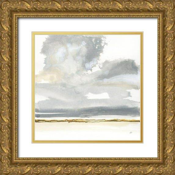 Paschke, Chris 20x20 Gold Ornate Wood Framed with Double Matting Museum Art Print Titled - Cumulus Gray II