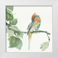 thumbnail image 1 of Paschke, Chris 20x20 White Modern Wood Framed Museum Art Print Titled - Crested Cockatoo, 1 of 4