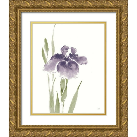 Paschke, Chris 20x24 Gold Ornate Wood Framed with Double Matting Museum Art Print Titled - Japanese Iris III Purple Crop