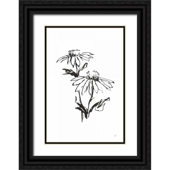 Paschke, Chris 23x32 Black Ornate Wood Framed with Double Matting Museum Art Print Titled - Line Echinacea II