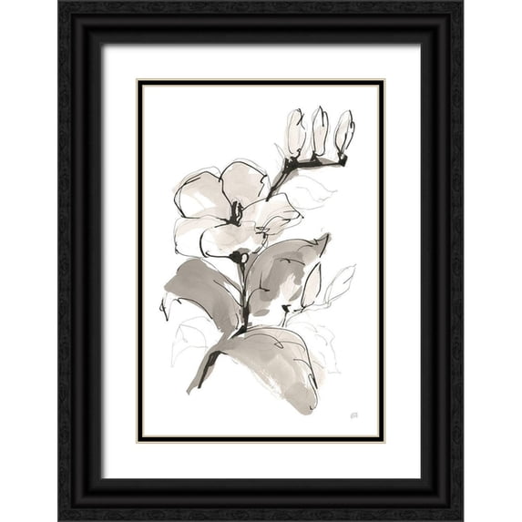 Paschke, Chris 23x32 Black Ornate Wood Framed with Double Matting Museum Art Print Titled - Magnolia II