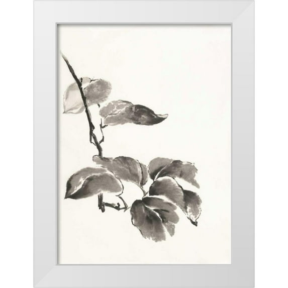 Paschke, Chris 24x32 White Modern Wood Framed Museum Art Print Titled - Sumi Kiwi