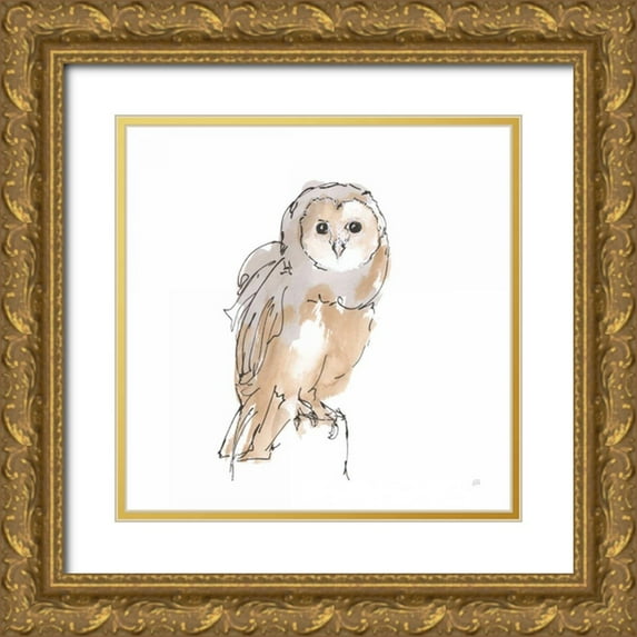 Paschke, Chris 26x26 Gold Ornate Wood Framed with Double Matting Museum Art Print Titled - Barn Owl VIII