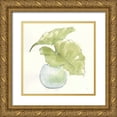 thumbnail image 1 of Paschke, Chris 26x26 Gold Ornate Wood Framed with Double Matting Museum Art Print Titled - Plant Big Leaf III, 1 of 4