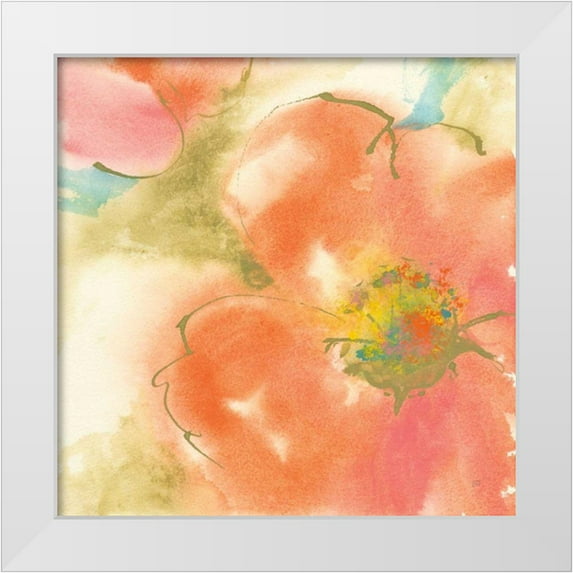 Paschke, Chris 26x26 White Modern Wood Framed Museum Art Print Titled - Coral Poppy I