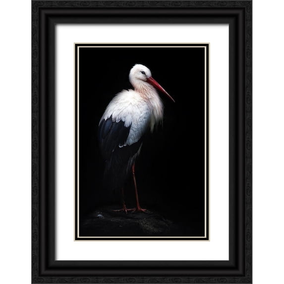 Pascual Buye, Santiago 11x14 Black Ornate Wood Framed with Double Matting Museum Art Print Titled - White Stork Portrait