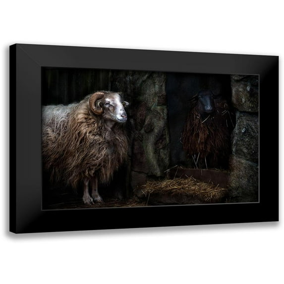 Pascual Buye, Santiago 24x17 Black Modern Framed Museum Art Print Titled - The sheep shed