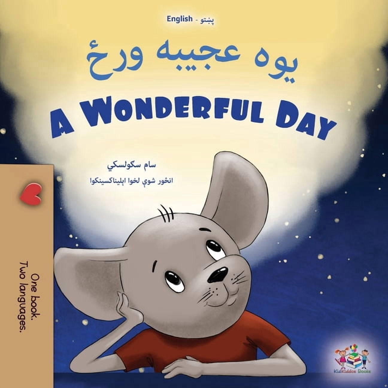 Pashto English Bilingual Collection A Wonderful Day (Pashto English Bilingual Children's Book), (Paperback)