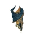 thumbnail image 1 of Paskmlna Border Pattern Double Layered Reversible Woven Pashmina Shawl Scarf Wrap Stole #05, 1 of 4