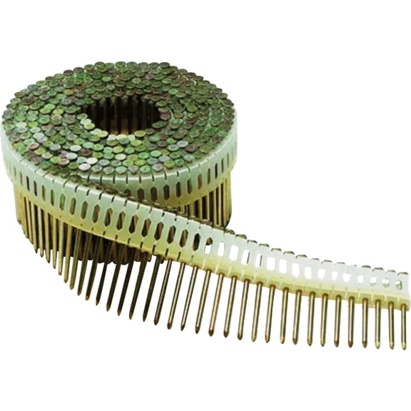 Paslode Plastic Strip Electro Galvanized Smooth Shank Coil Siding Nails - Pack of 2