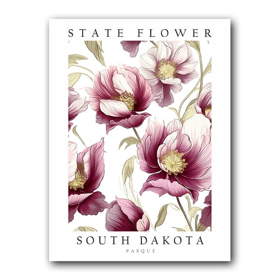Pasque, South Dakota State Flower, Poster Print, Wall Dcor