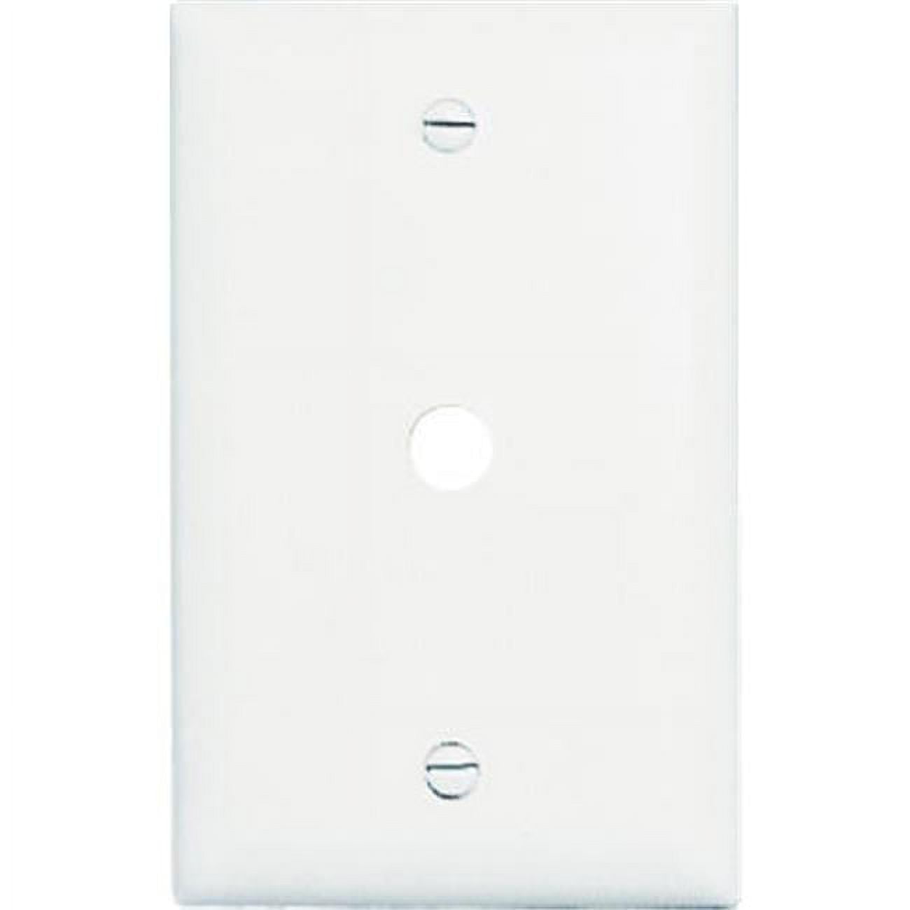 White Nylon Coaxial Face Wall Plate with Telephone Hole