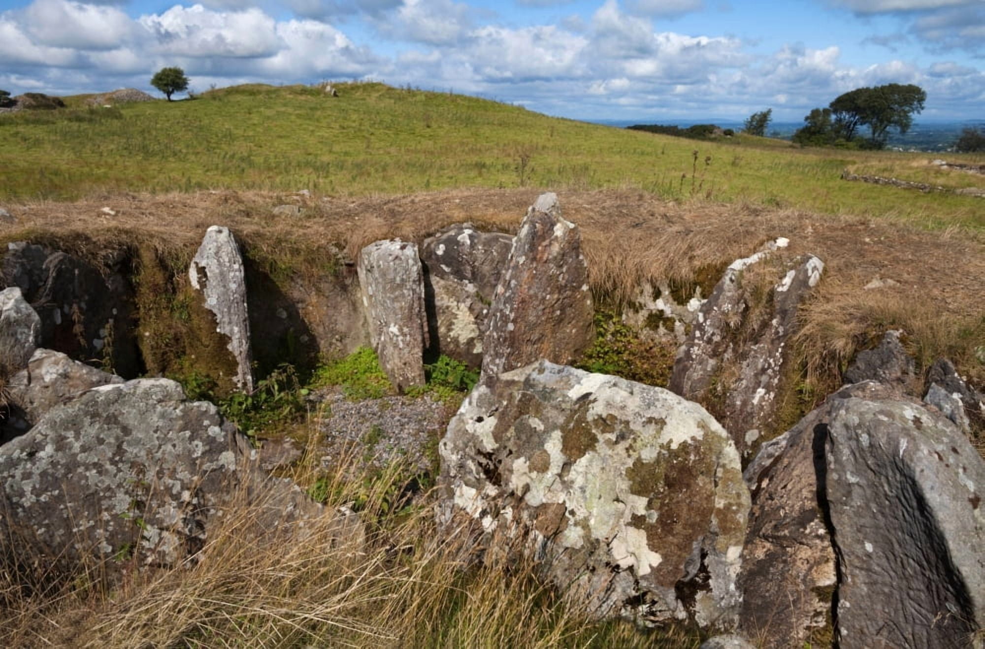 Passage GraveCarbane West Loughcrew passage tombs complex County Meath Ireland Canvas Art - Panoramic Images (36 x 12)