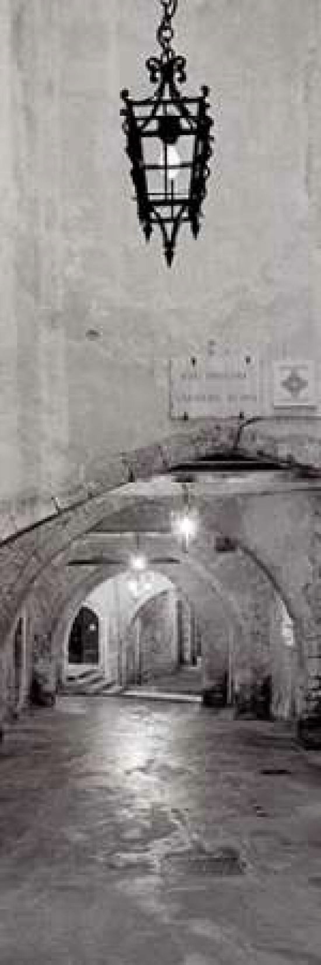 Passageway France - 2 Canvas Art - Alan Blaustein (8 x 24)