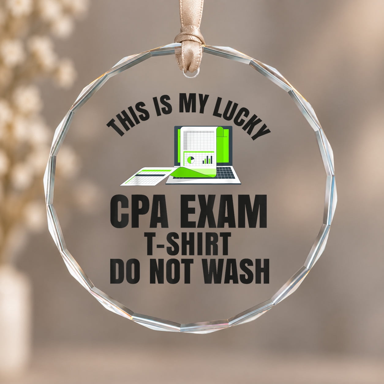 Passed CPA Exam For Certified Accountant Accounting Ornament, Wall ...