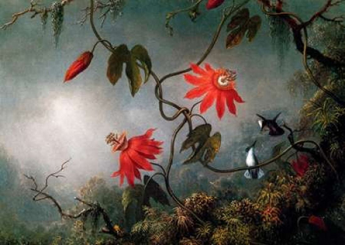 Passion Flowers And Hummingbirds Canvas Art - Martin Johnson Heade (20 x 28)