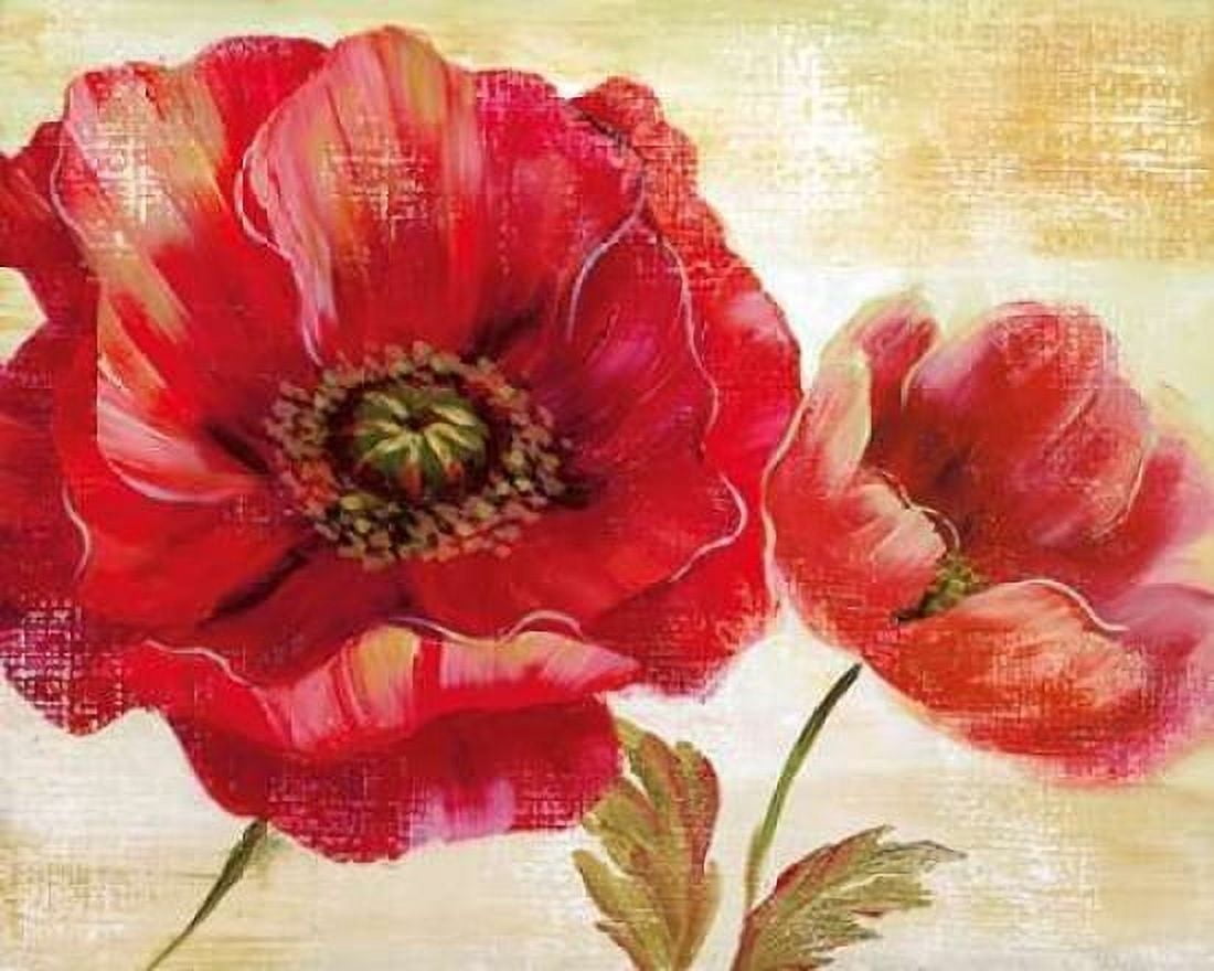 Passion For Poppies I Canvas Art - Nan (24 x 30)